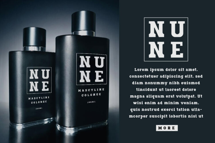 Bold Slab Serif Font