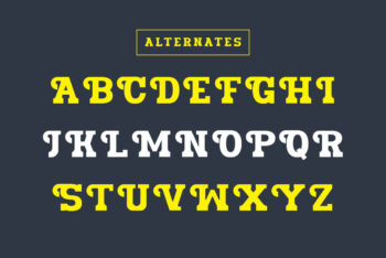 Bold Slab Serif Font