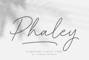 Handwritten Script Font
