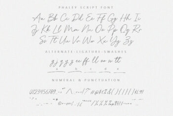 Handwritten Script Font