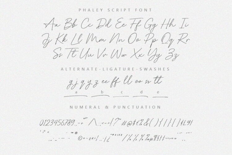 Handwritten Script Font