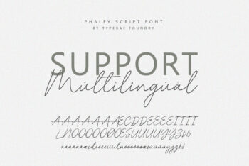 Handwritten Script Font