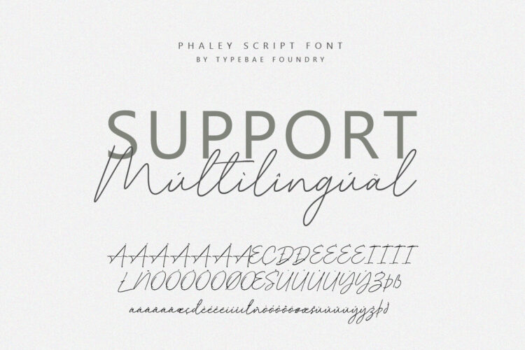 Handwritten Script Font