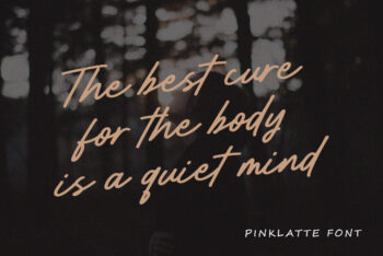 Handwritten Brush Script Font