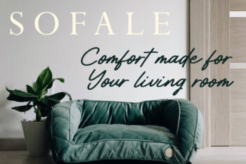 Handwritten Brush Script Font