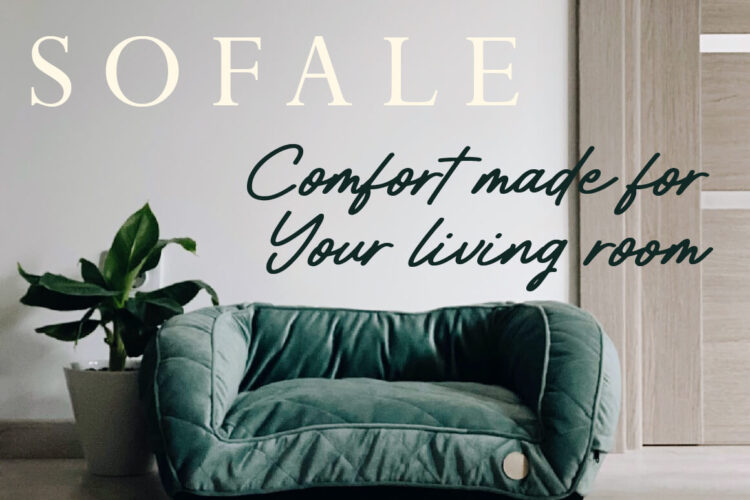 Handwritten Brush Script Font