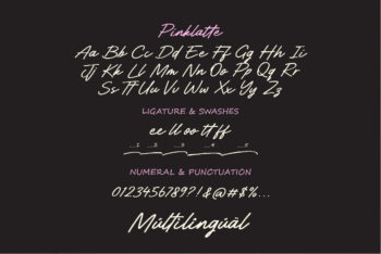 Handwritten Brush Script Font,