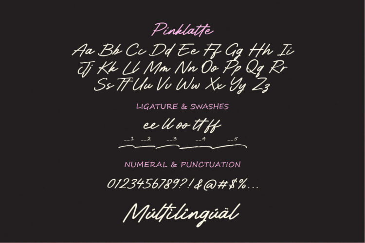 Handwritten Brush Script Font,