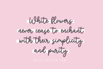 Sweet Script Font