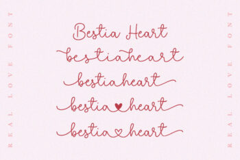 Wedding Script Font