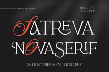 Ligature Serif Font Duo