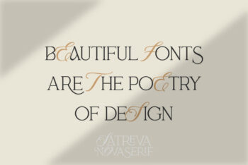 Ligature Serif Font Duo