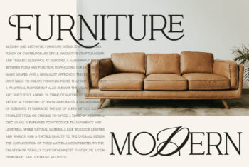 Ligature Serif Font Duo