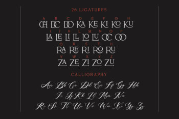 Ligature Serif Font Duo