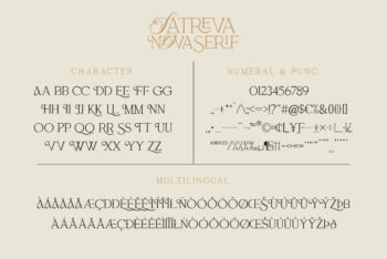 Ligature Serif Font Duo