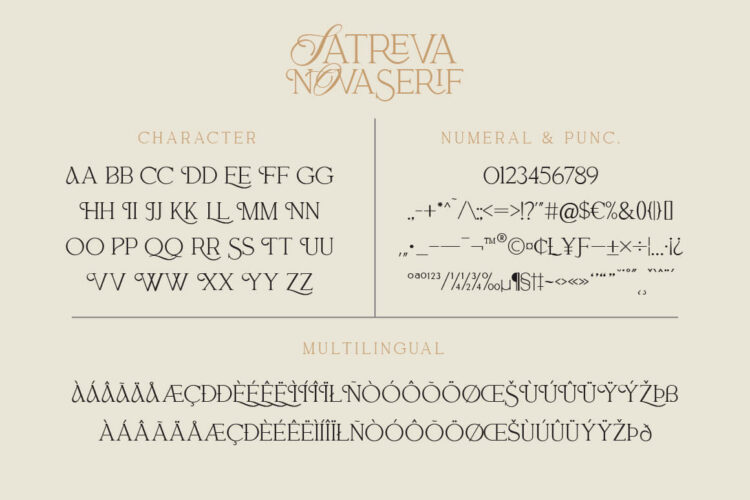 Ligature Serif Font Duo