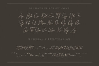 Signature Script Font,