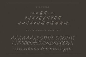Signature Script Font,