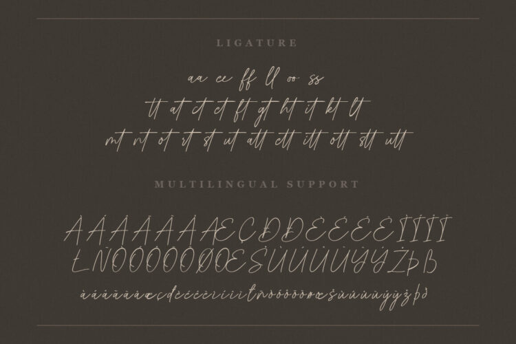 Signature Script Font,