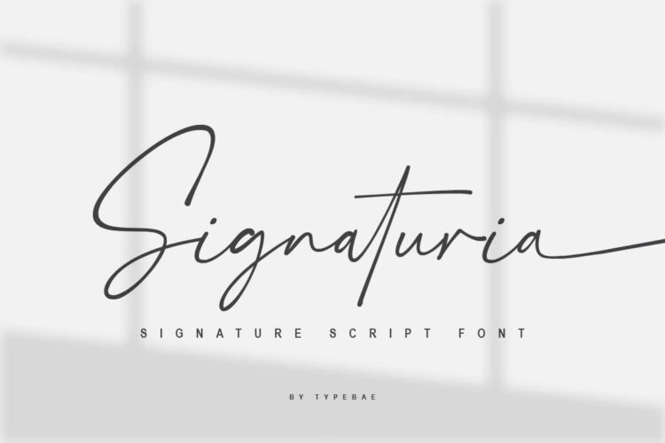 Script font with Swash