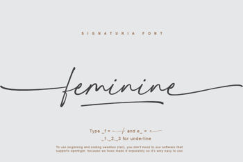 Script font with Swash