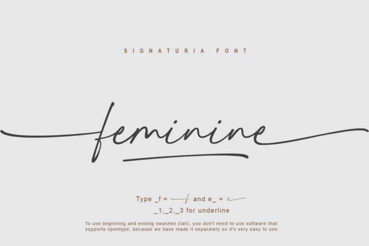 Script font with Swash
