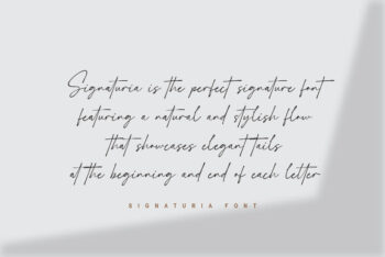 Script font with Swash