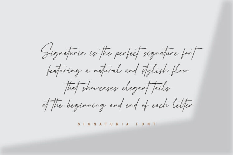 Script font with Swash