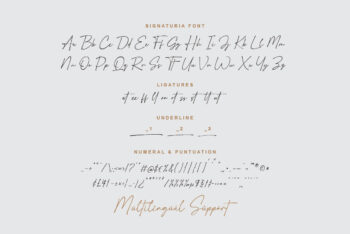 Script font with Swash