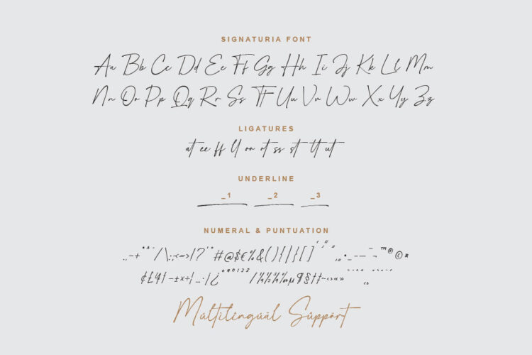 Script font with Swash