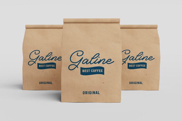 Brings Vintage Font Duo