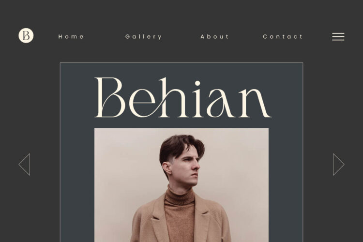 Shanell - Modern & Luxury Serif Font