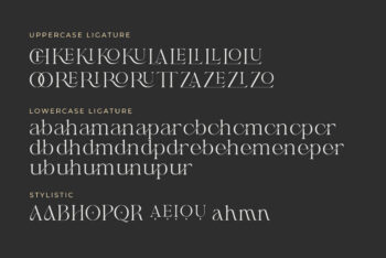 Shanell - Modern & Luxury Serif Font