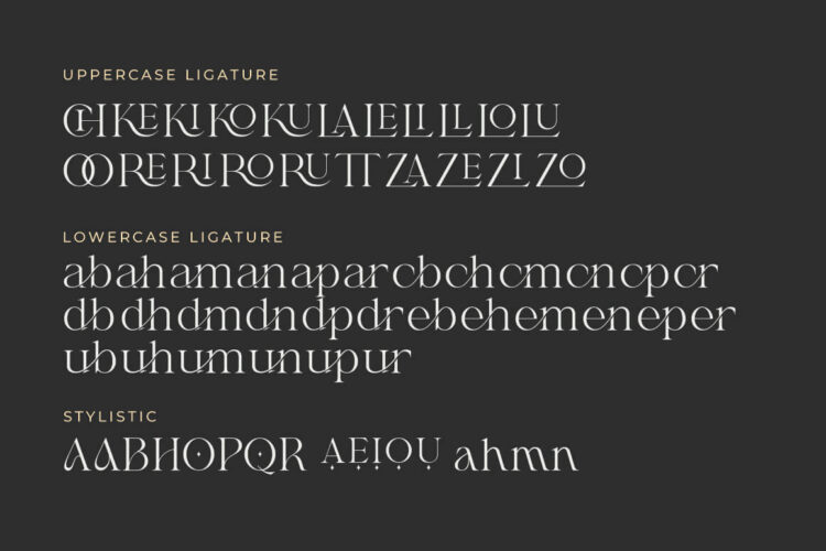 Shanell - Modern & Luxury Serif Font