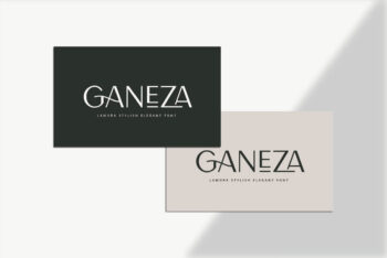 Lamora - Luxury & Modern Logo Font-02