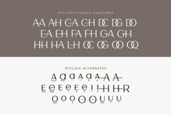 Lamora - Luxury & Modern Logo Font-02