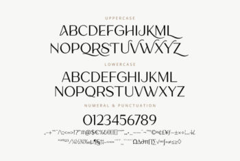 Lamora - Luxury & Modern Logo Font-02