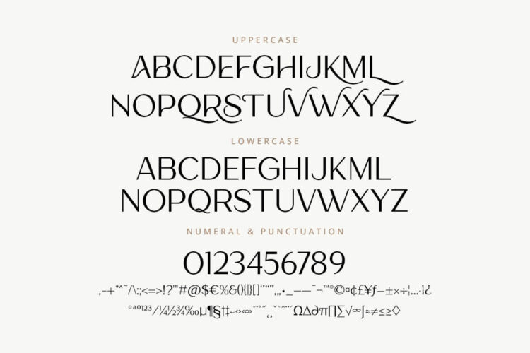 Lamora - Luxury & Modern Logo Font-02