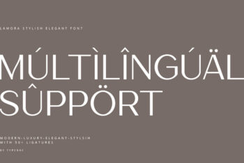 Lamora - Luxury & Modern Logo Font-02