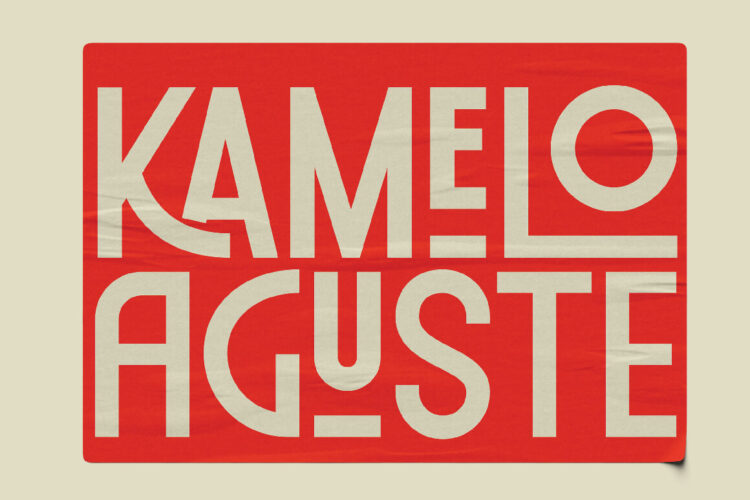 Pronell – Modern Retro Display Font