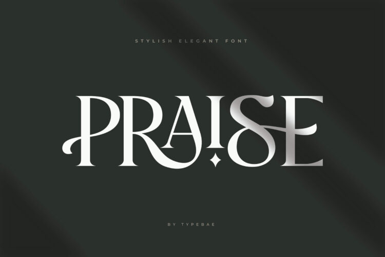 Praise Elegant Stylish Font