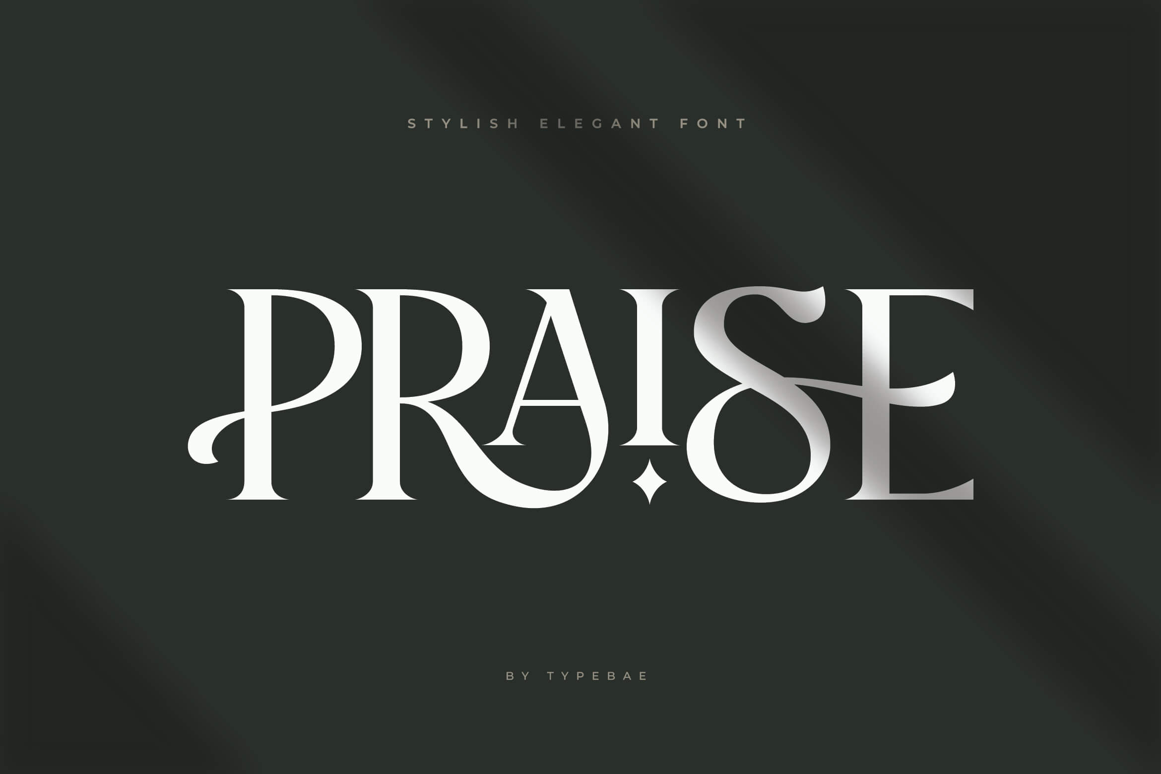 Praise Elegant Stylish Font