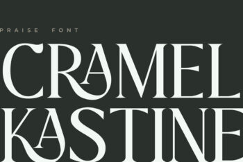 Praise Elegant Stylish Font