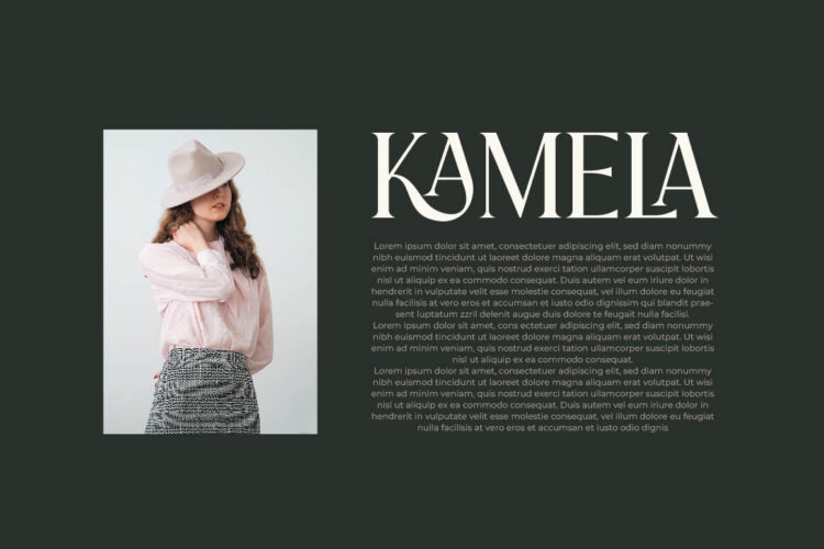 Praise Elegant Stylish Font