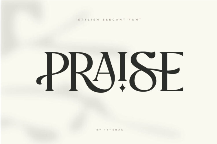 Praise Elegant Stylish Font