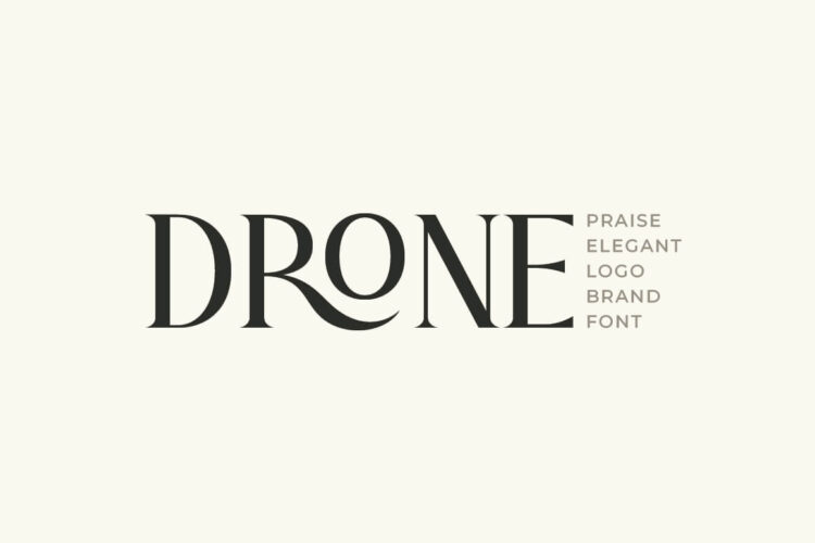 Praise Elegant Stylish Font
