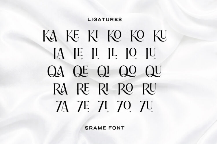 Srame - Modern Stylish Serif Font