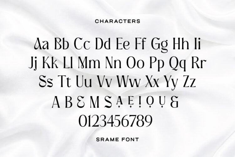 Srame - Modern Stylish Serif Font