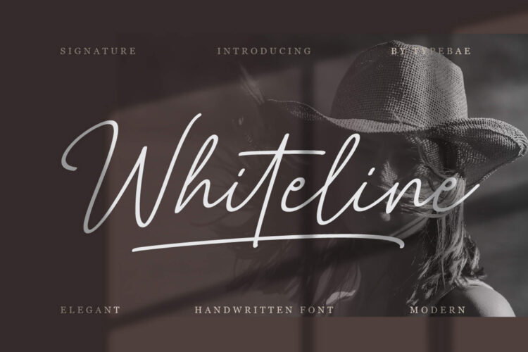 Whiteline Font - Elegant SIgnature Script Font