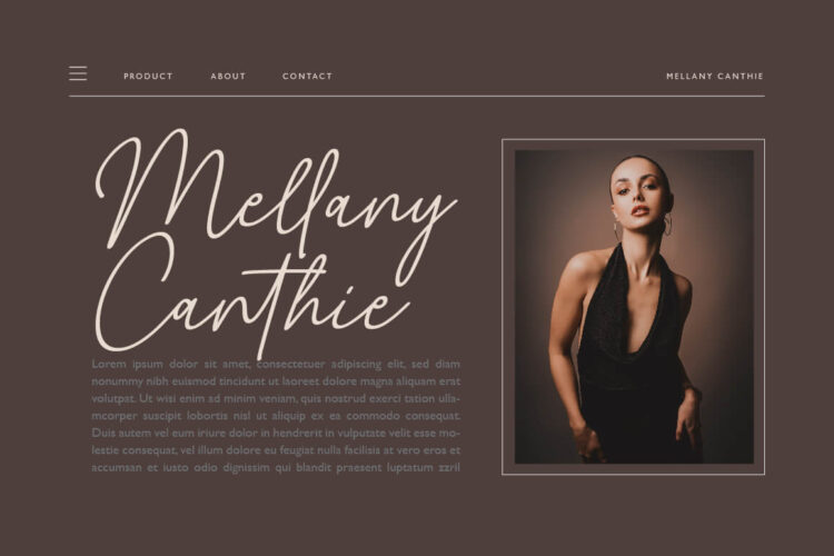 Whiteline Font - Elegant SIgnature Script Font